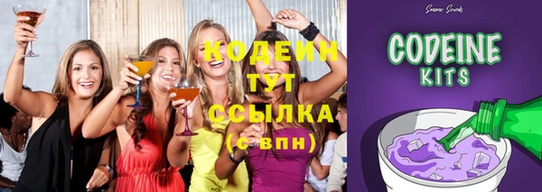 дурь Ельня