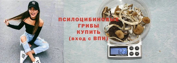 стафф Баксан