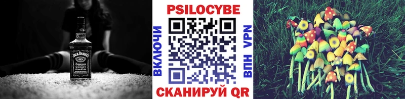 где можно купить наркотик  Краснослободск  Галлюциногенные грибы Psilocybe 